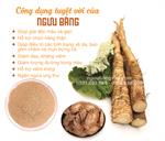 Ngưu bàng khô sấy lạnh Hữu Cơ