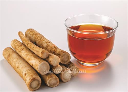 Cách ngâm rượu Củ ngưu bàng đúng chuẩn – Tốt cho sức khỏe, dễ thực hiện