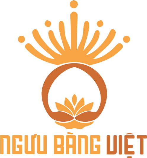 Chính sách bảo mật Ngưu bàng Việt